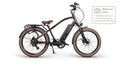 Cruiser 2.0 CPO E-Bike