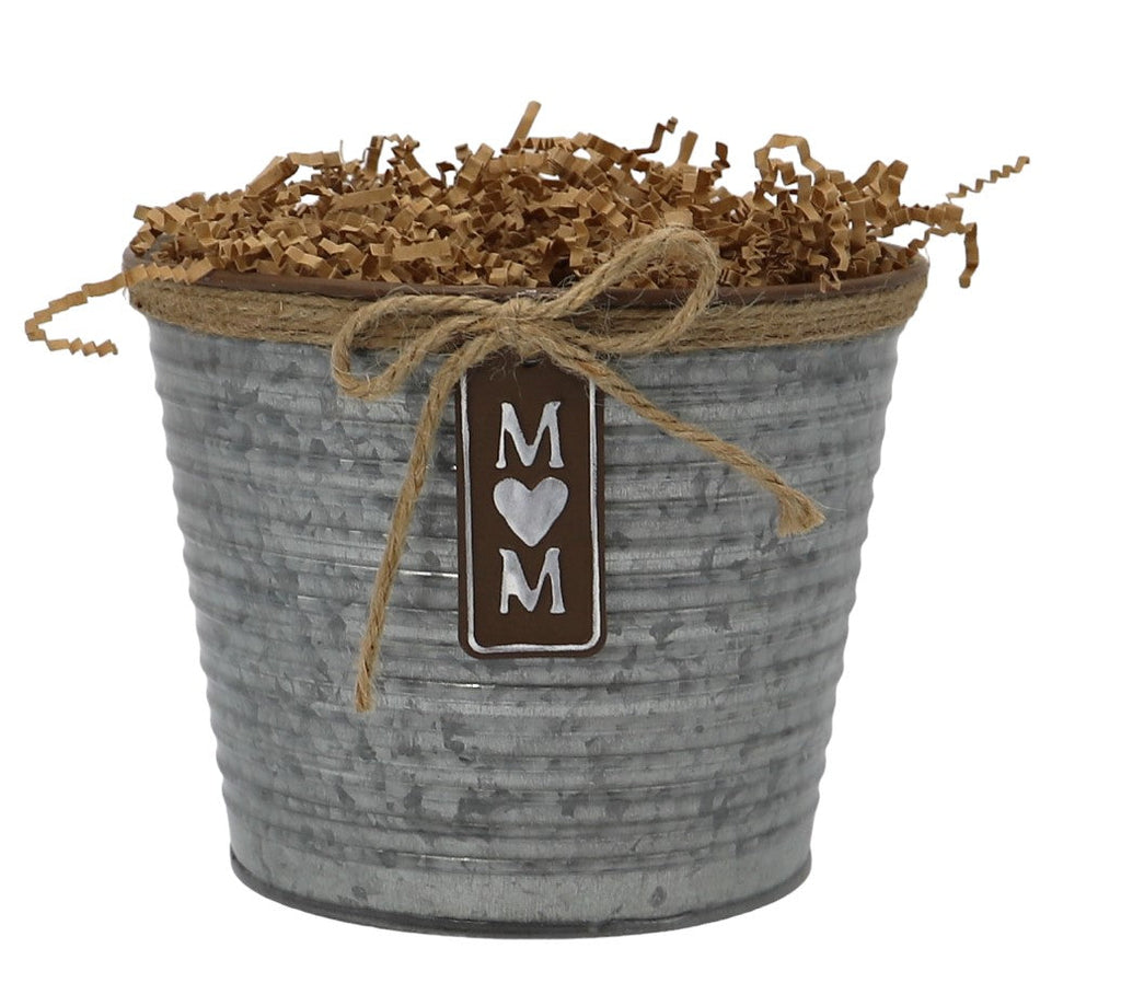 Special Day for Mom Gift Tin