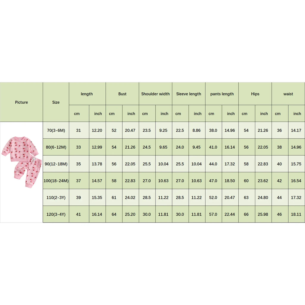 Baby Toddler Girl 2Pcs Fall Outfit Strawberry Flower Print Crew Neck Long Sleeve Top with Jogger Pants Set