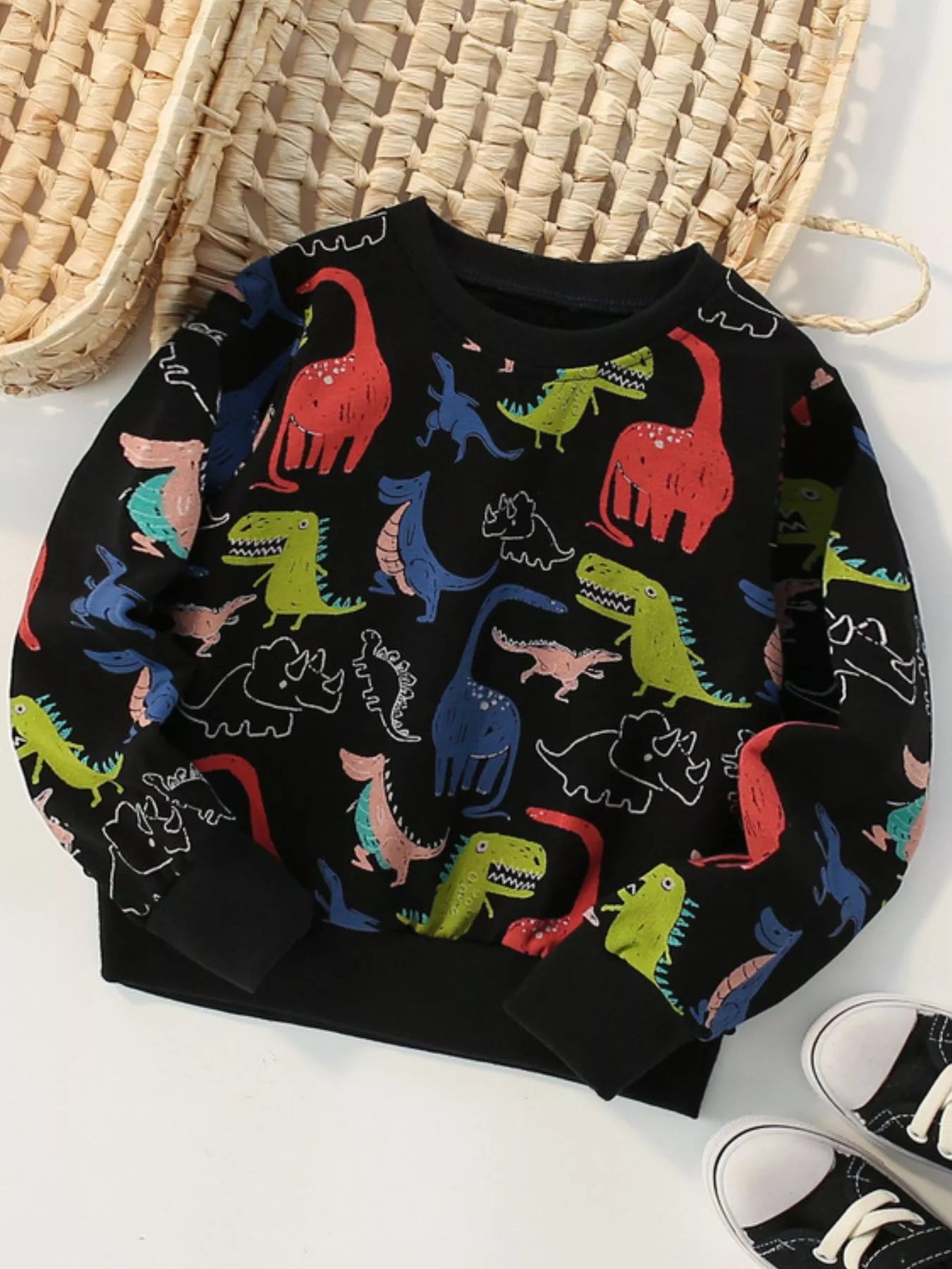 Toddler Boys Dinosaur Print Crew Neck Sweatshirt