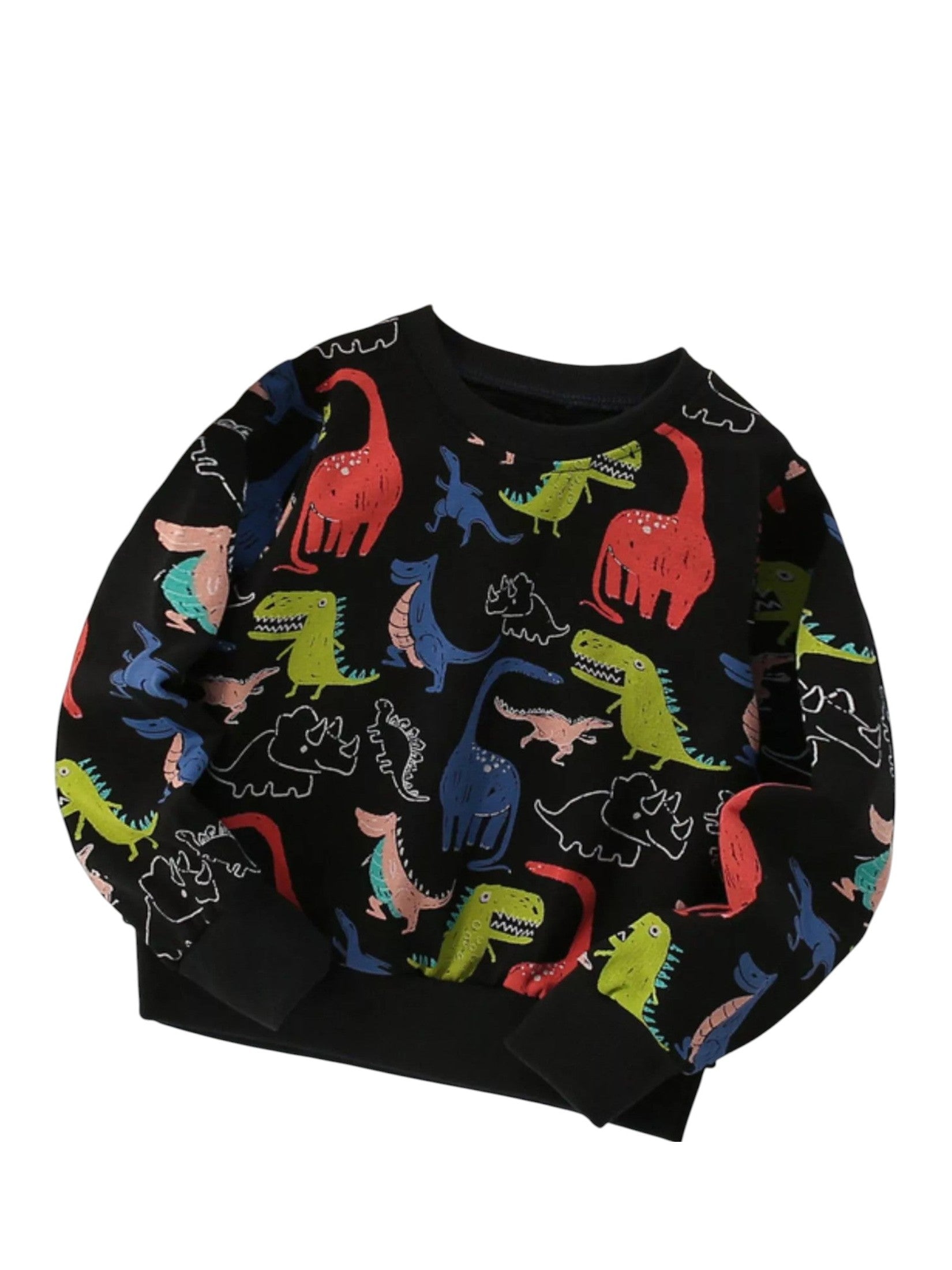 Toddler Boys Dinosaur Print Crew Neck Sweatshirt